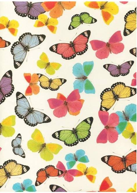 00564_1|02015fec37c2bf7875d7920253991650