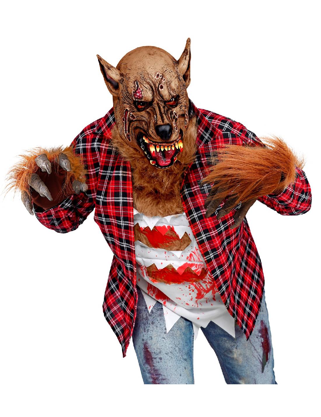 00981_2|e148abbba759293ae07da45fdf8db71d