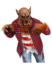 00981_2|e148abbba759293ae07da45fdf8db71d