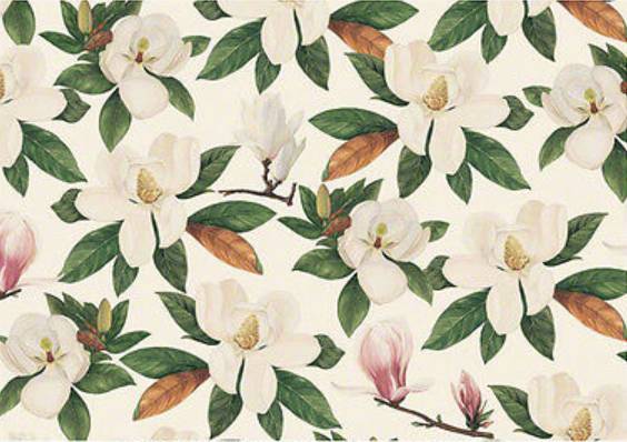 01150_1|468d3c4e8c2572694e4aeed5228f9459