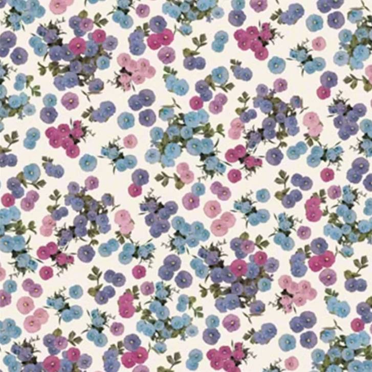 02336_1|ce81d8fd86007a9e4c2a4a784e3e1ab7