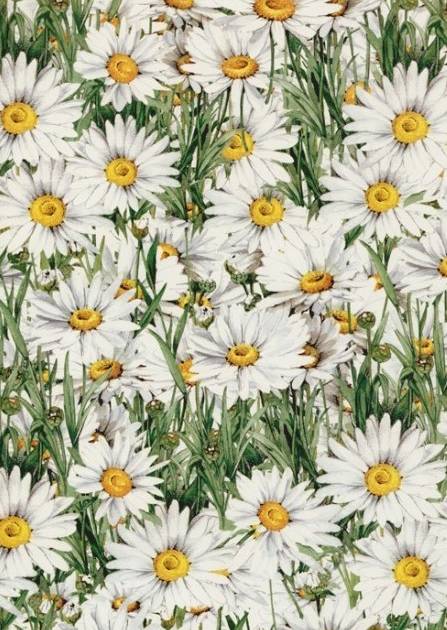 02336_2|c80e2befc1e62c4cace72ac3b988c75c