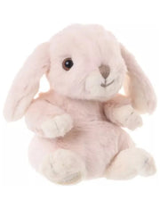 02492_5|07370c9ee29c45ab992233d7cb109233