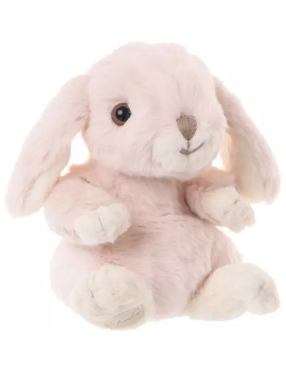 02492_5|07370c9ee29c45ab992233d7cb109233