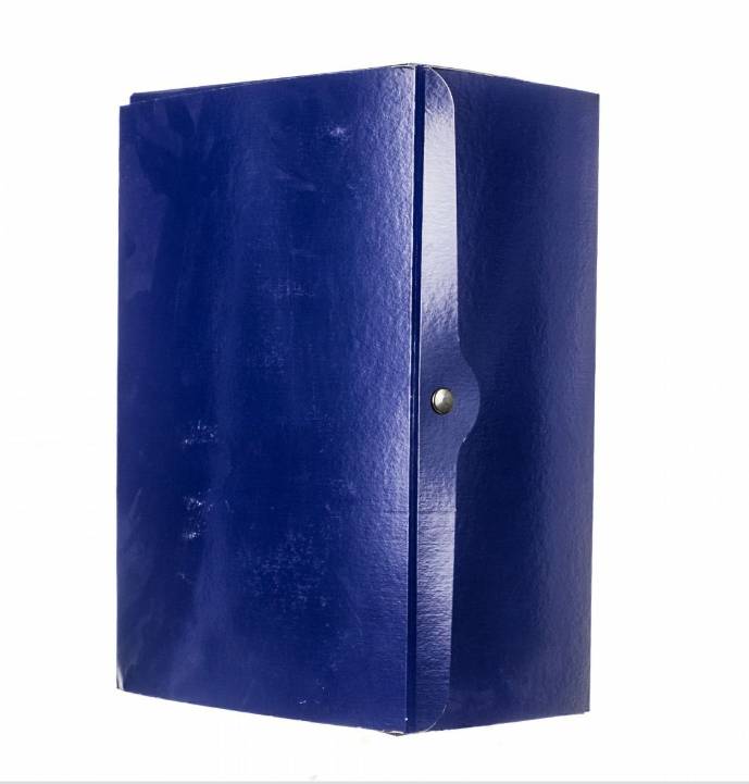 Portaprogetti blu con bottone Dorso 15