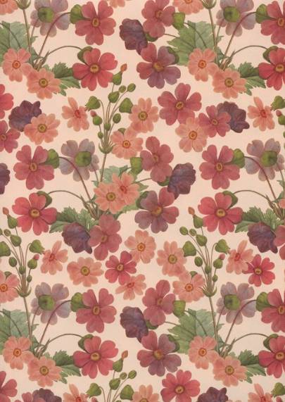 02636_1|47dc53924cdf096ac6509a85c8099833