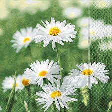 02758_1|1626a3c451735b81d6ac357eb5783f18