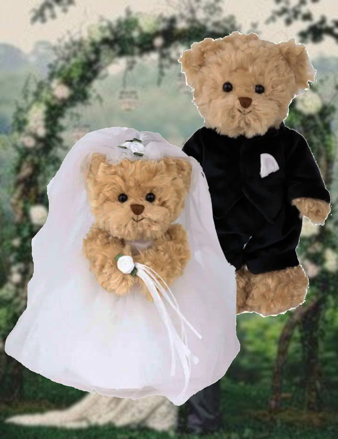 02805_1|40a287821ad0ca95a739d94fc52325a8