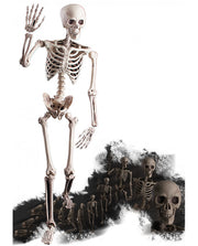 Scheletro Snodabile 160cm Ornamento Halloween