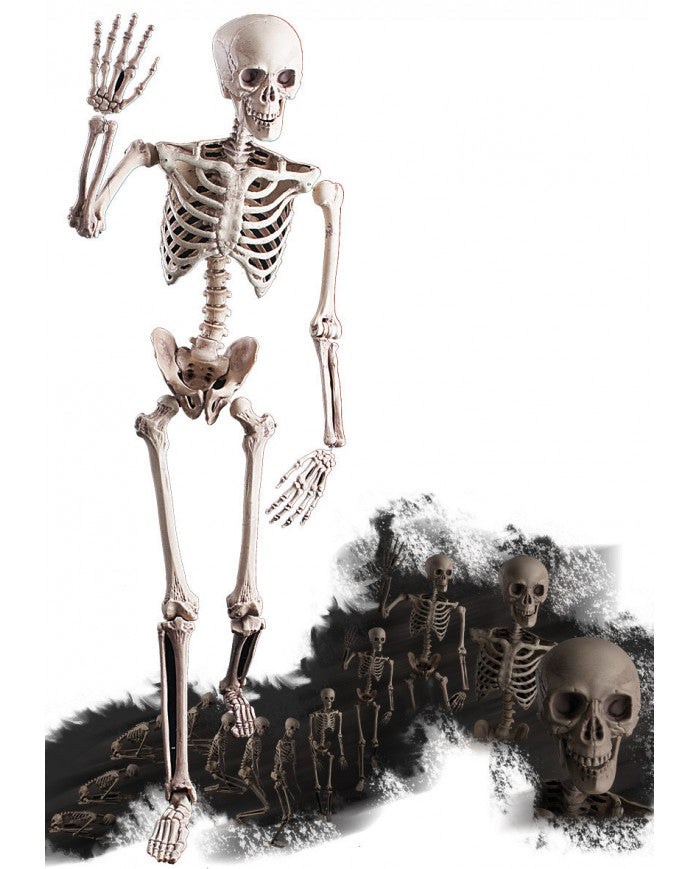Scheletro Snodabile 160cm Ornamento Halloween
