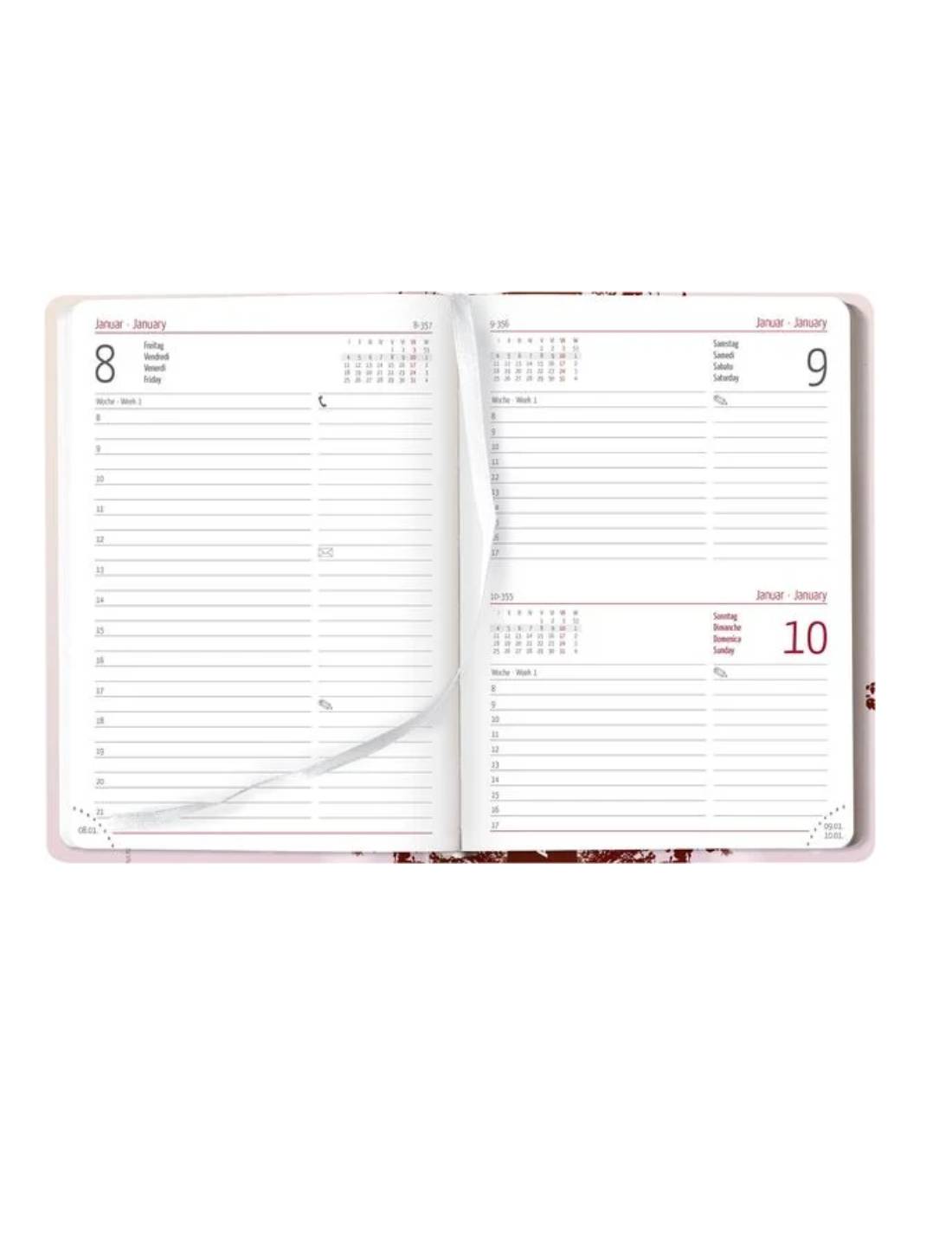 Agenda Giornaliera 12 Mesi 2025 Alpha Edition Style Colibrì 15cm