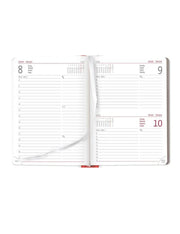 Agenda Giornaliera 12 Mesi 2025 Alpha Edition Style Journal Fragole