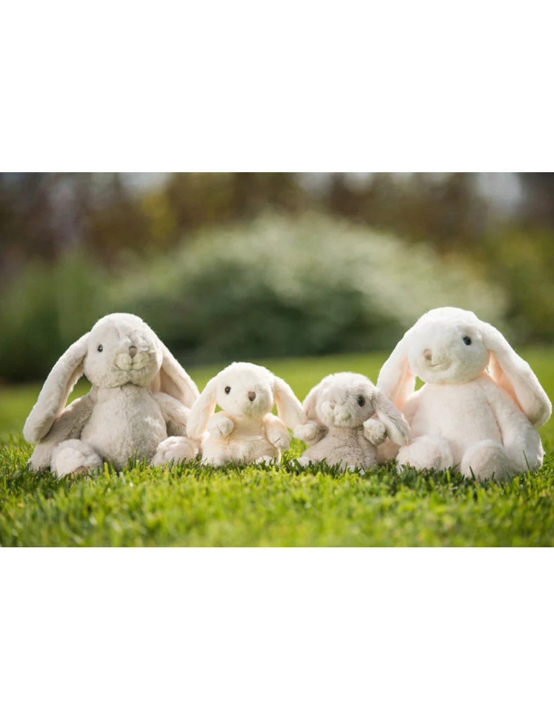 04347_1|bdcab160c8c4d2a798e2b142e8814013