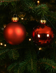 04497_2|b772cda8671cf896e1c9ad05792593fc