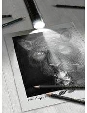 Set Pitt Graphite Matt E Castell 9000