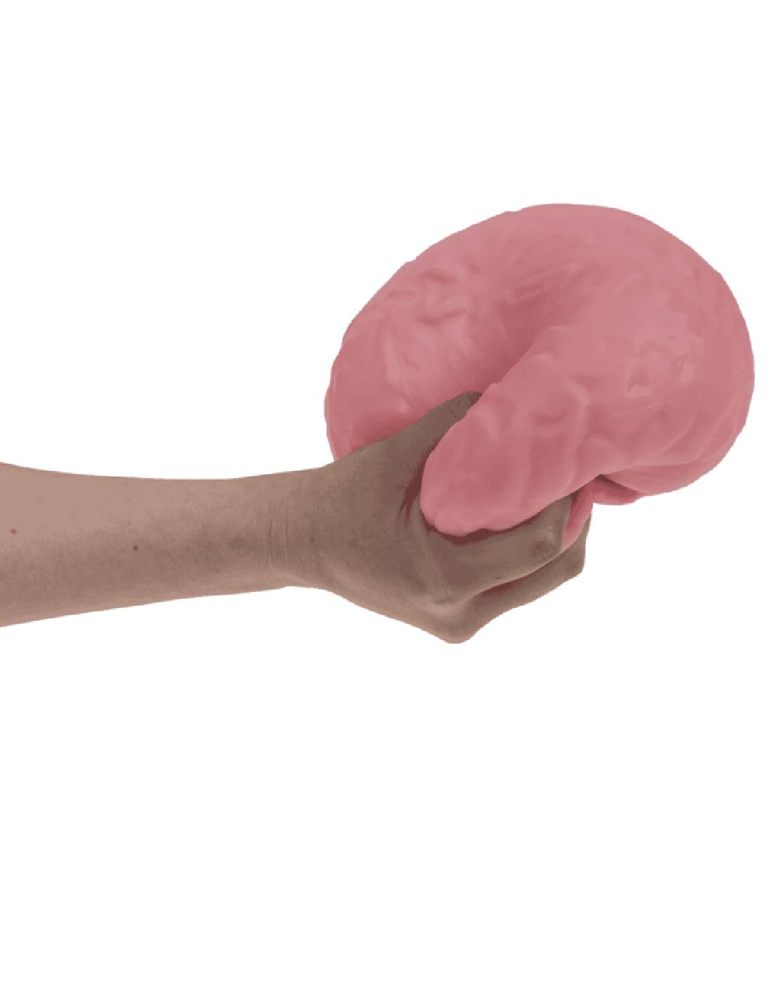 04772_1|3ef710ed2ddb38bdd41e054cb4283321