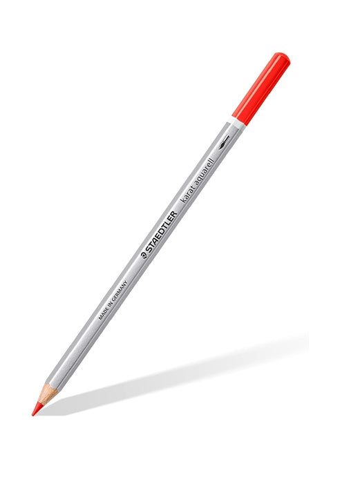Pastelli Staedtler 24 Matite Acquerellabili Colorate