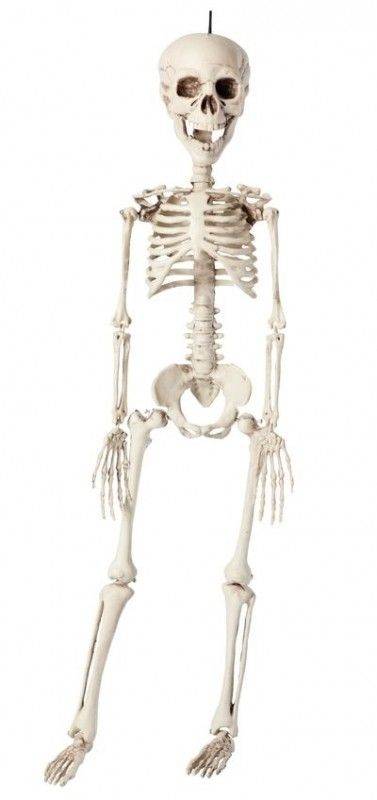 Scheletro Ornamenti Halloween In Plastica 40cm