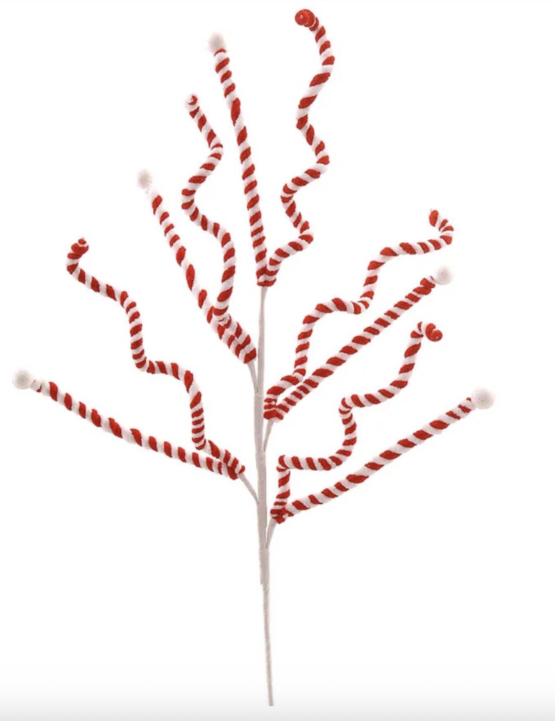 05417_1|1a2d0a16502c974391326d60e36e285c