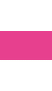 Biglietti Cartoncini Fucsia 10,6x21cm 25pz