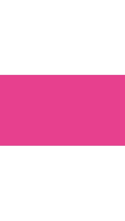 Biglietti Cartoncini Fucsia 10,6x21cm 25pz