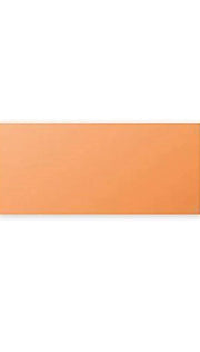 Biglietti Cartoncini Arancio 10,6x21cm 25pz
