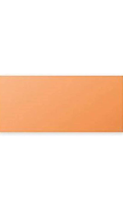 Biglietti Cartoncini Arancio 10,6x21cm 25pz