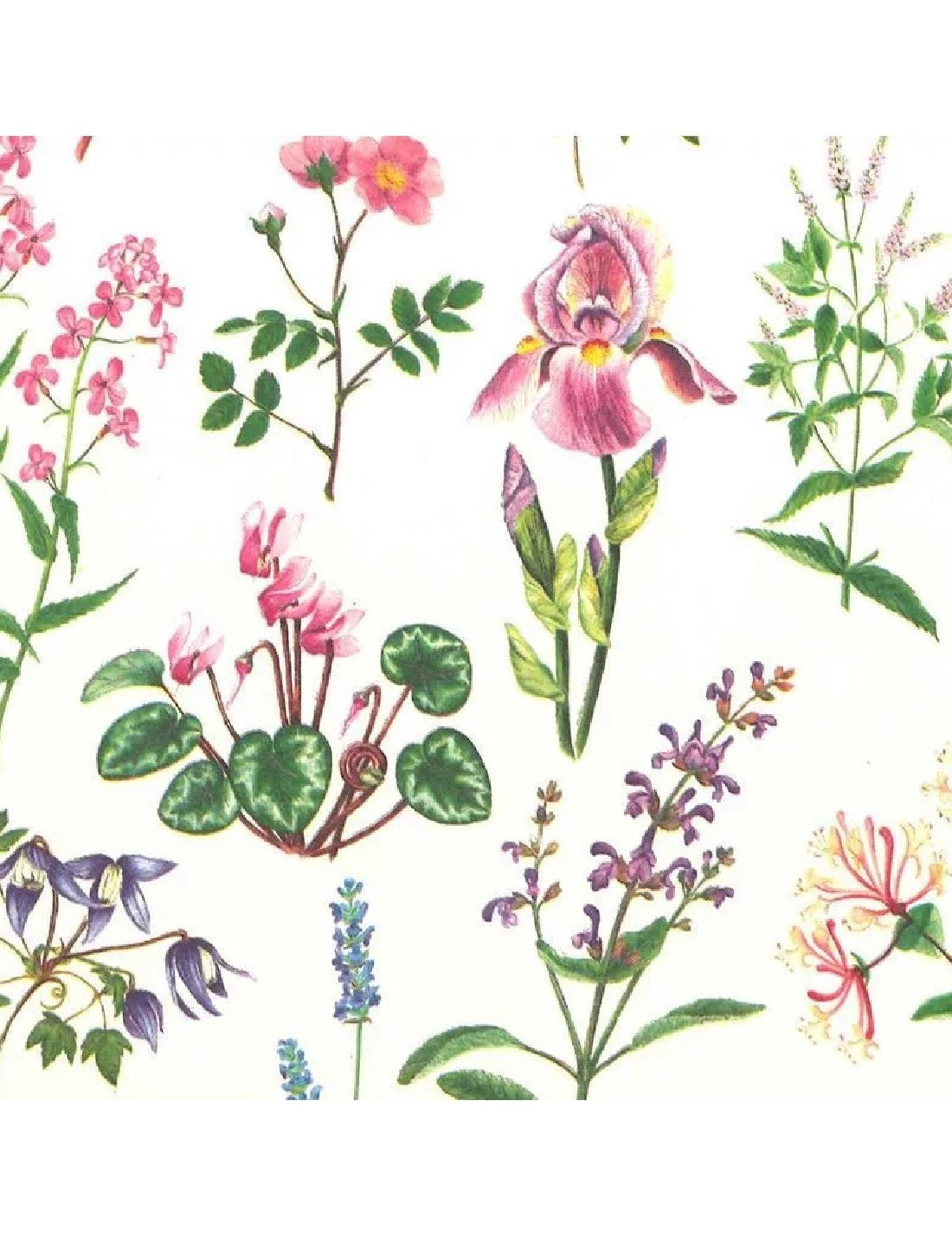 06087_1|d2fe4aa39119b1dfd2f3b8baf1d00319