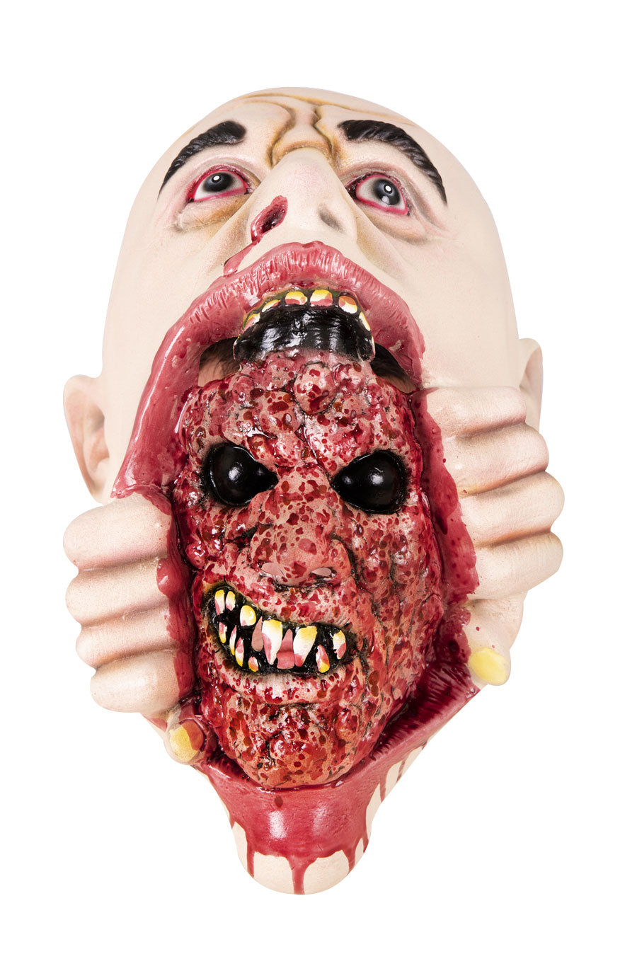 06606_1|117c2878e9ecee4c0785ebb4e9af4f98