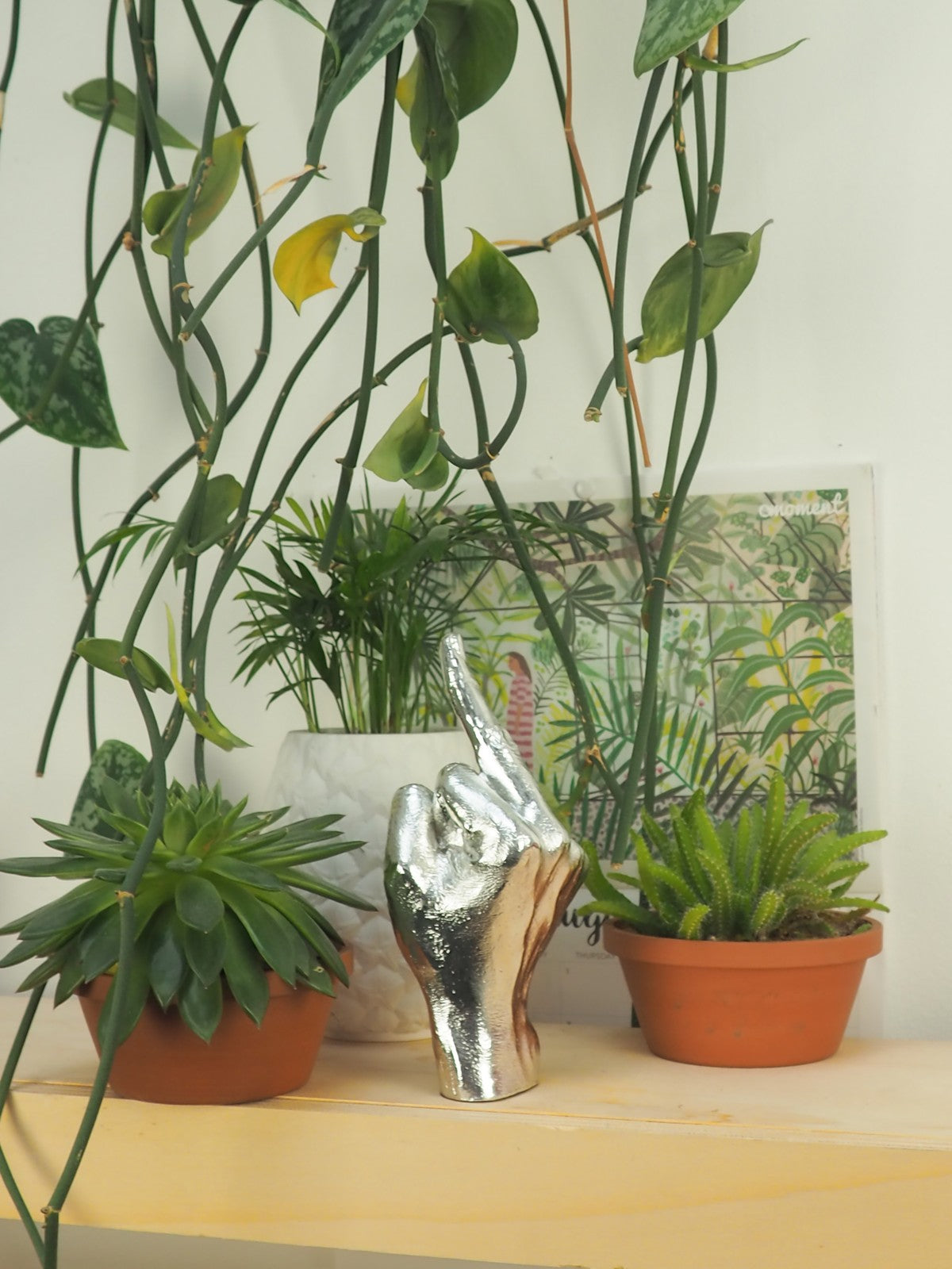 06637_3|1288c6cf19fa7eb15e6f06451cb3853c