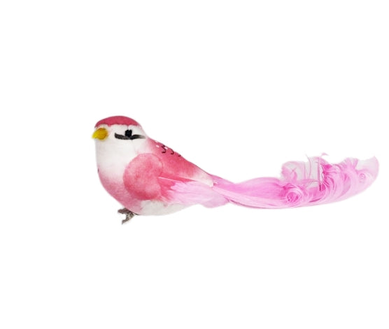 06707_1|c4d7076380554eb833176d229da1902b