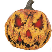 06716_1|b36988d651b58b15cf6006b1d516ef7b