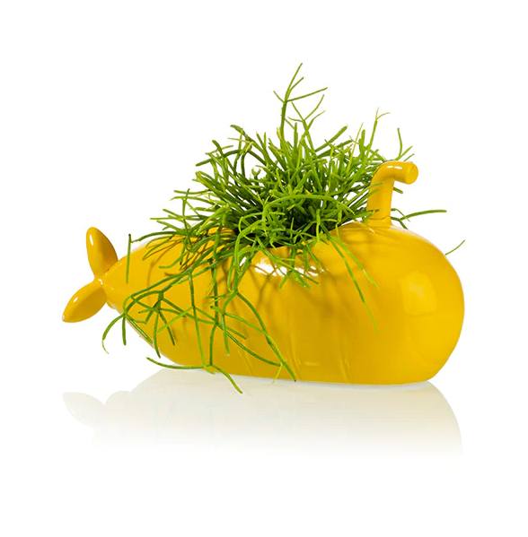 06730_1|a39d9611b34c1b9be9265bd13be09217