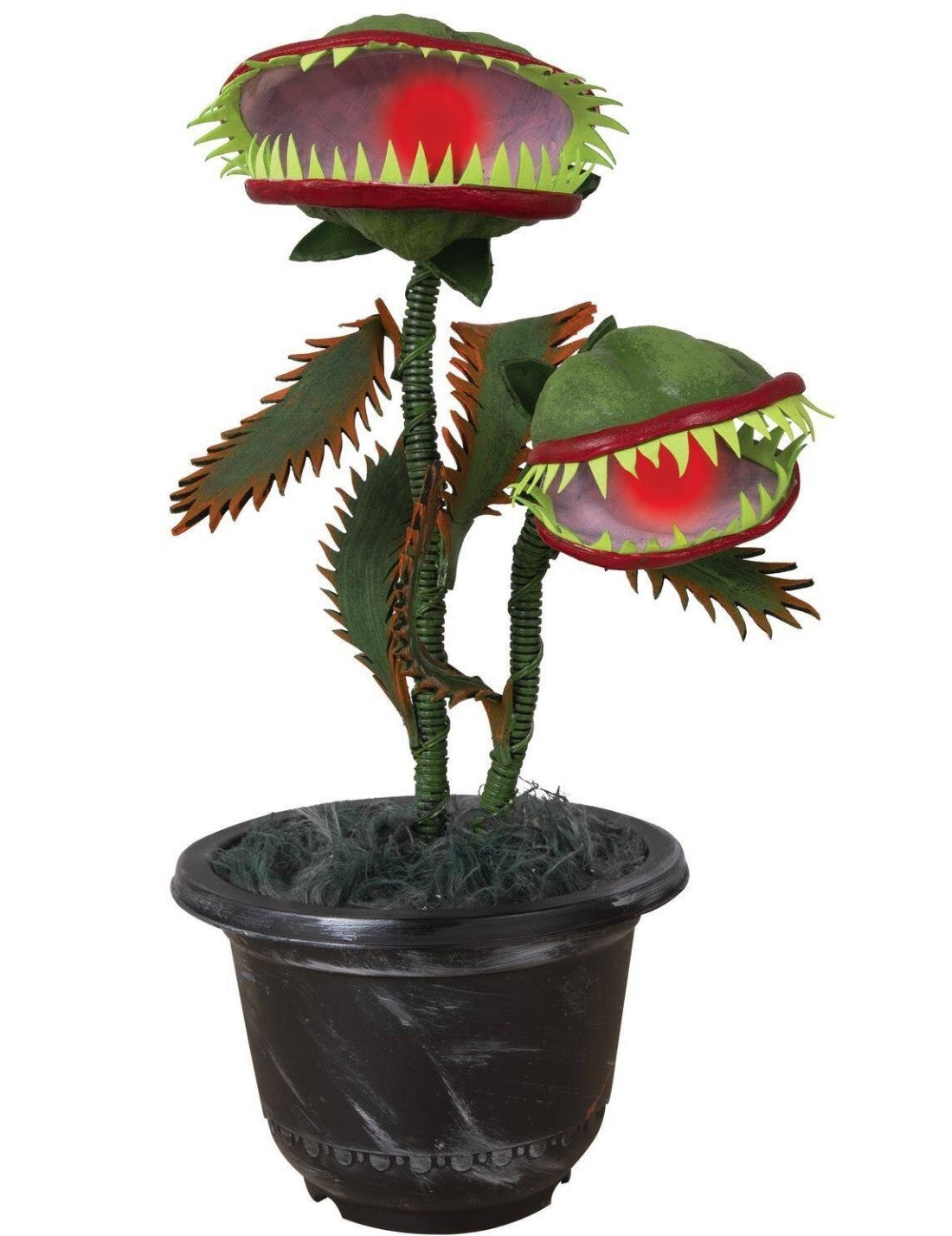 06758_1|0dd70978223bd295225ee202c5dfa26d