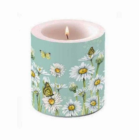 06764_1|8c21c2cbba9c0adb2b36cdae185f3986