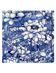 06792_1|1272bca1a8b03fdb21d9f135a31ec1c9