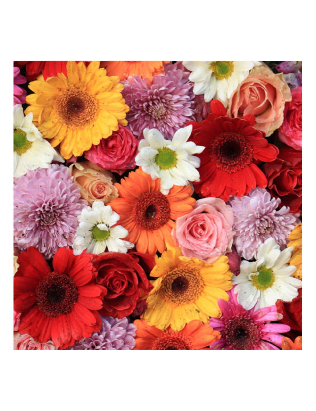 06907_1|202fab435fc67759a5c682bd43b8360f