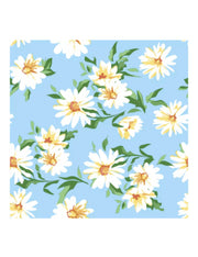 06964_1|db775e97df072f6486e119c2defaed7b