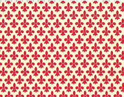 Foglio Di Carta Tassotti 70x100cm Giglio Rosso 85gr
