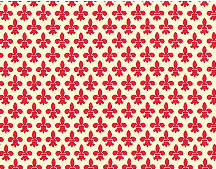 Foglio Di Carta Tassotti 70x100cm Giglio Rosso 85gr