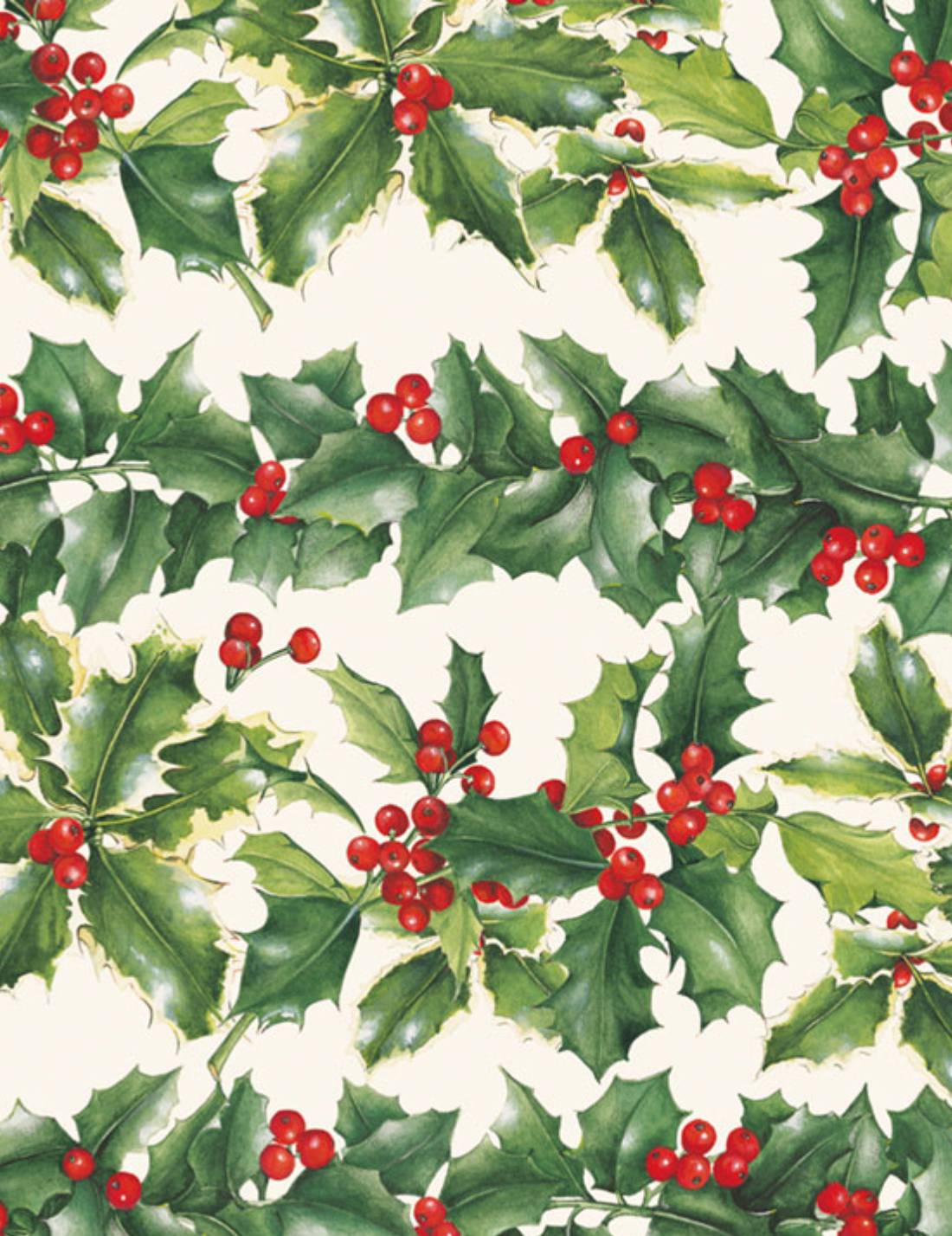 07027_1|bc67a24de2fdfbed5eb5447c21107927