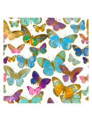 07331_1|20813fe831d6a9ac485b00d392b8e7eb