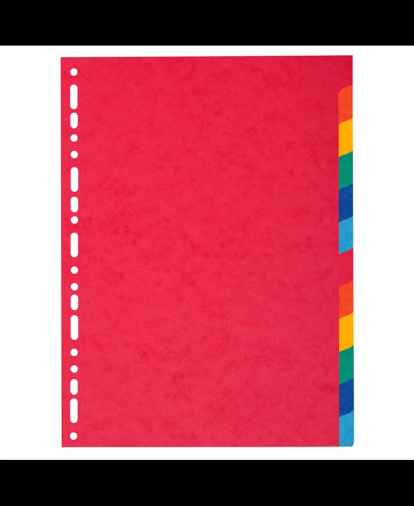 Divisori Carta A4 Separatori per Raccoglitori 12 Colori