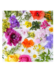 07731_1|782fdc24360c985fc2a95dcc0d0fc9ea