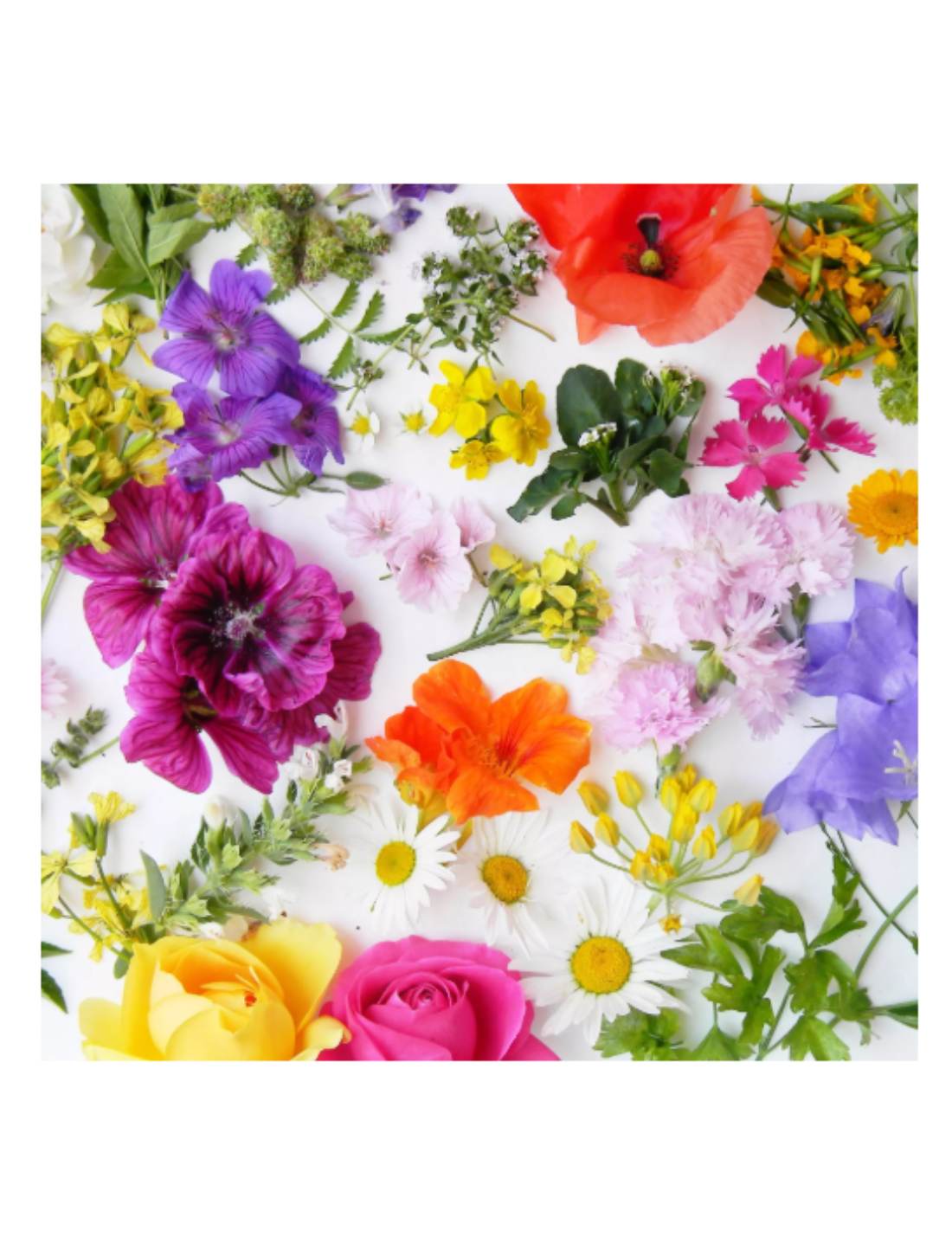 07731_1|782fdc24360c985fc2a95dcc0d0fc9ea