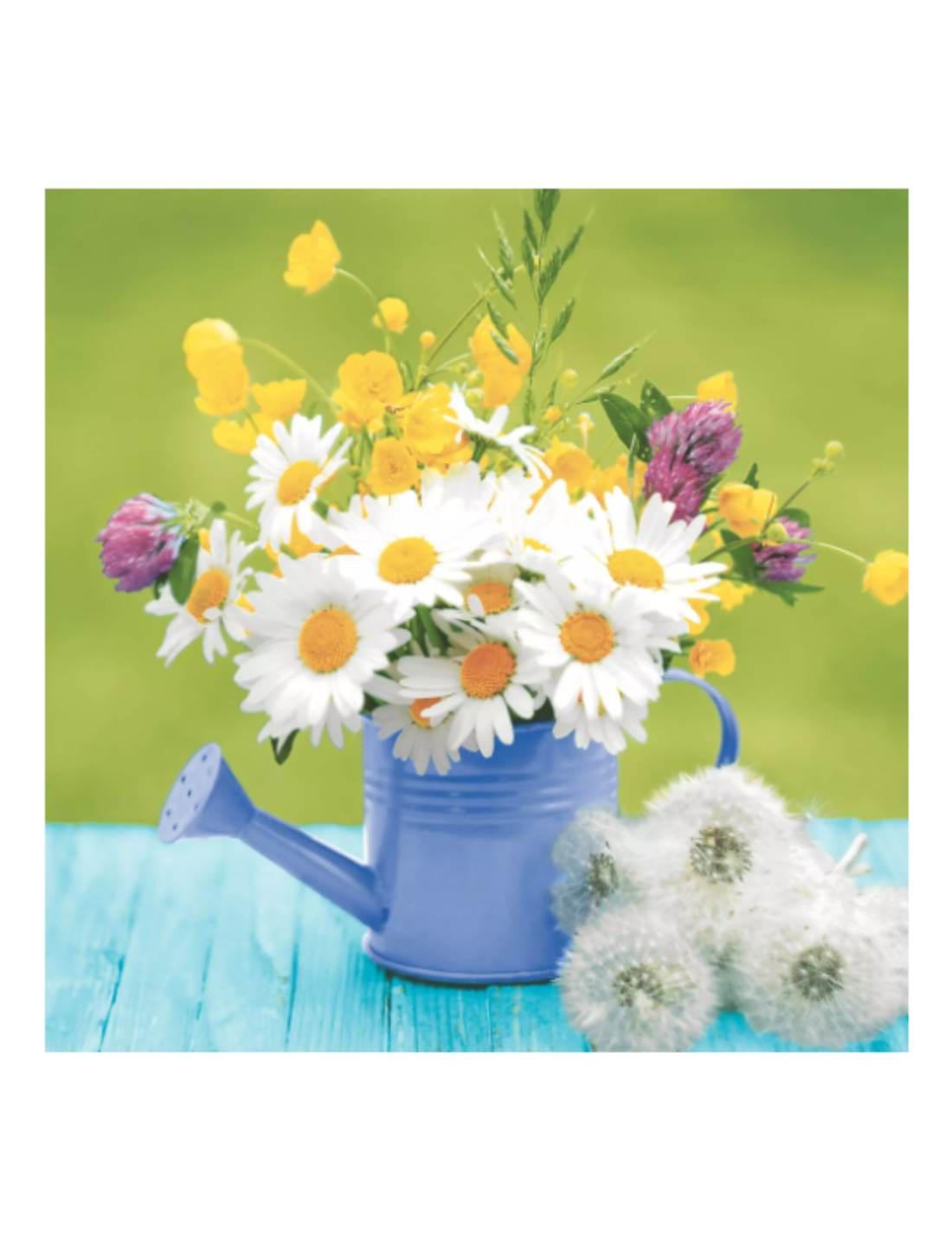 07732_1|d165fefea51c5ca4d39c8d05736a031c