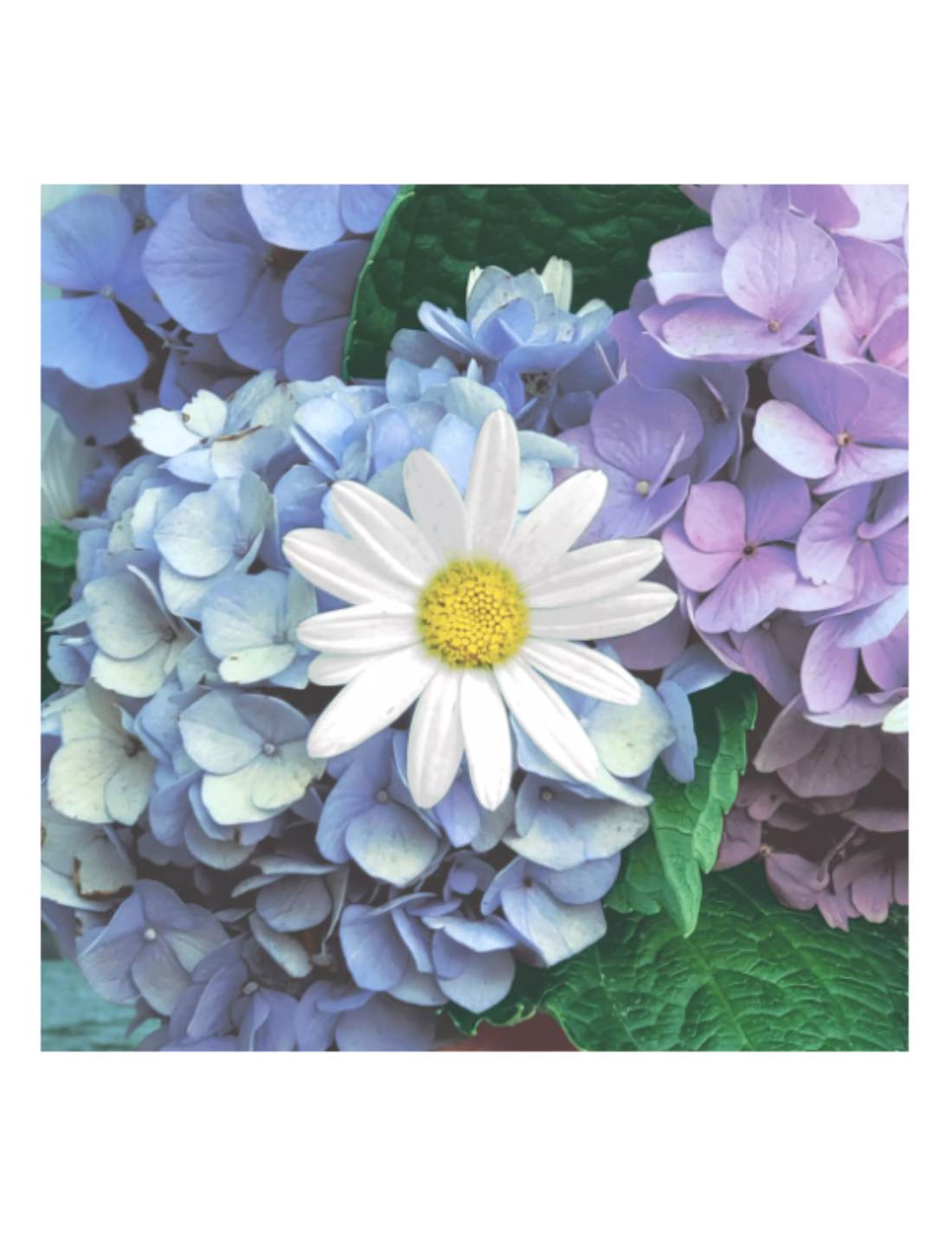 07733_1|f4370e86a3f290ac26ad48678e222e70