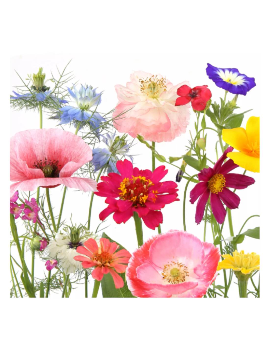 07734_1|65b69844952f69435c784e1949c5bddd