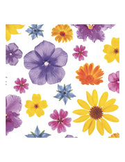 07735_1|512aa737f72ac18c798c1d99a42b6c5c