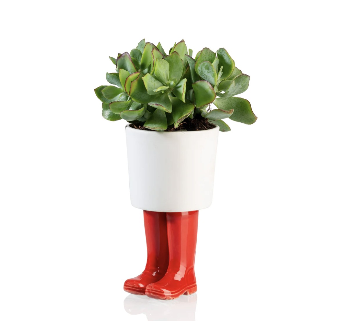 Fioriera Grande Wellington Boots Rossi